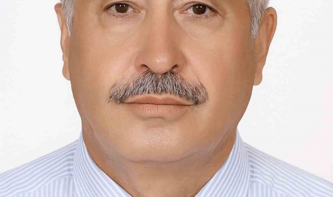 Samsun’un Bafra ilçesinde arı sokması sonucu traktörünün üzerinde fenalaşan yaşlı