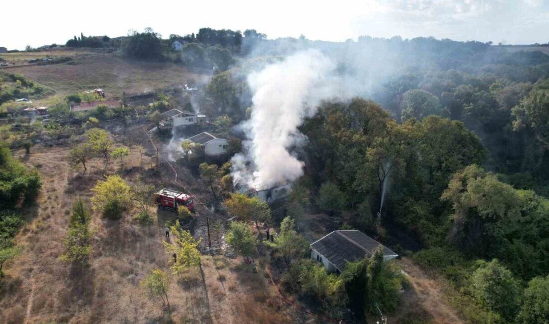 İstanbul Arnavutköy’de çayırlık alanda çıkan yangın, kısa sürede büyüyerek önce