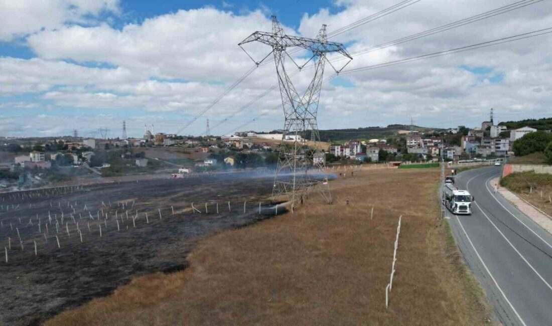 İstanbul’un Arnavutköy ilçesinde çayırlık alanda çıkan yangın rüzgarın da etkisiyle
