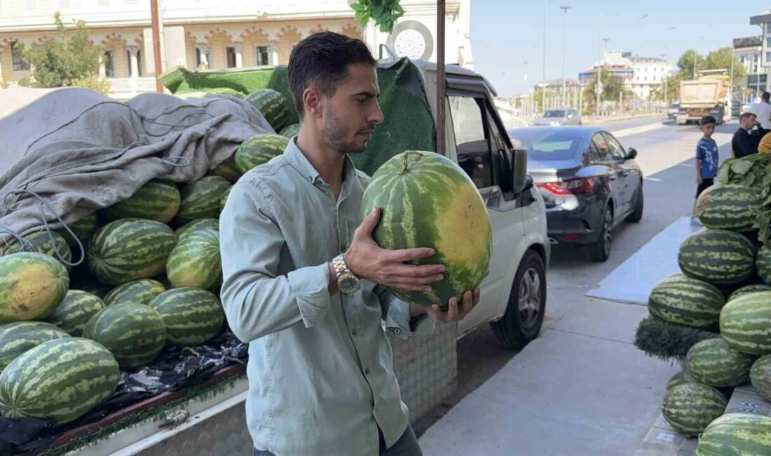İstanbul Arnavutköy’de bir karpuz dükkanına gece yarısı hırsız girdi. Hırsız
