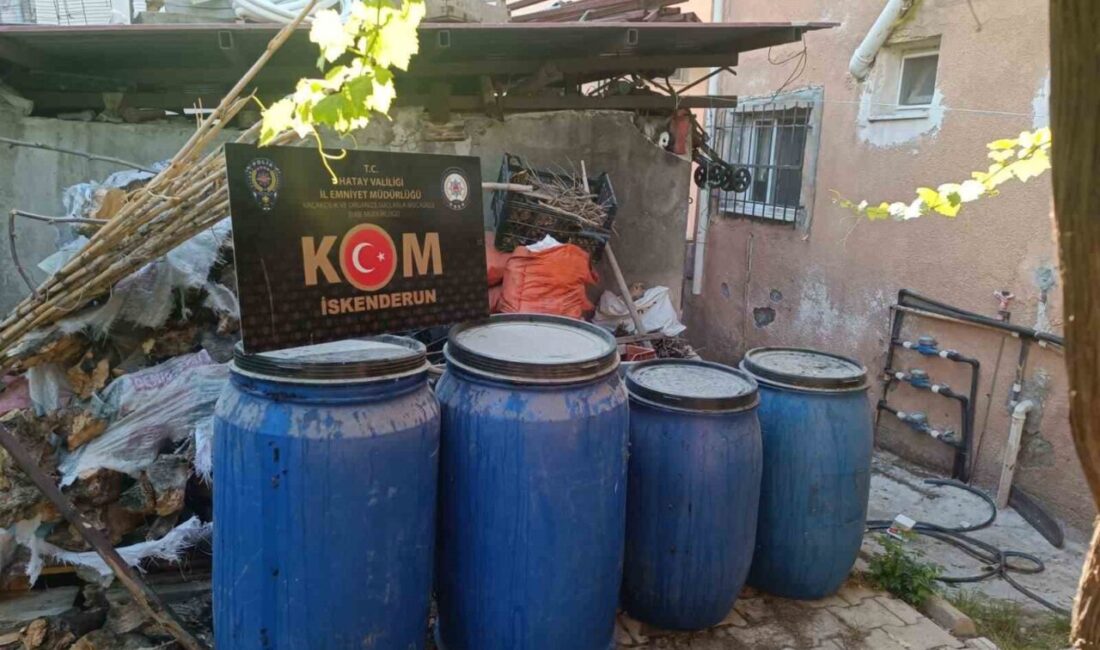 Hatay’ın Arsuz ilçesinde belirlenen 3 adreste yapılan aramada 2 bin