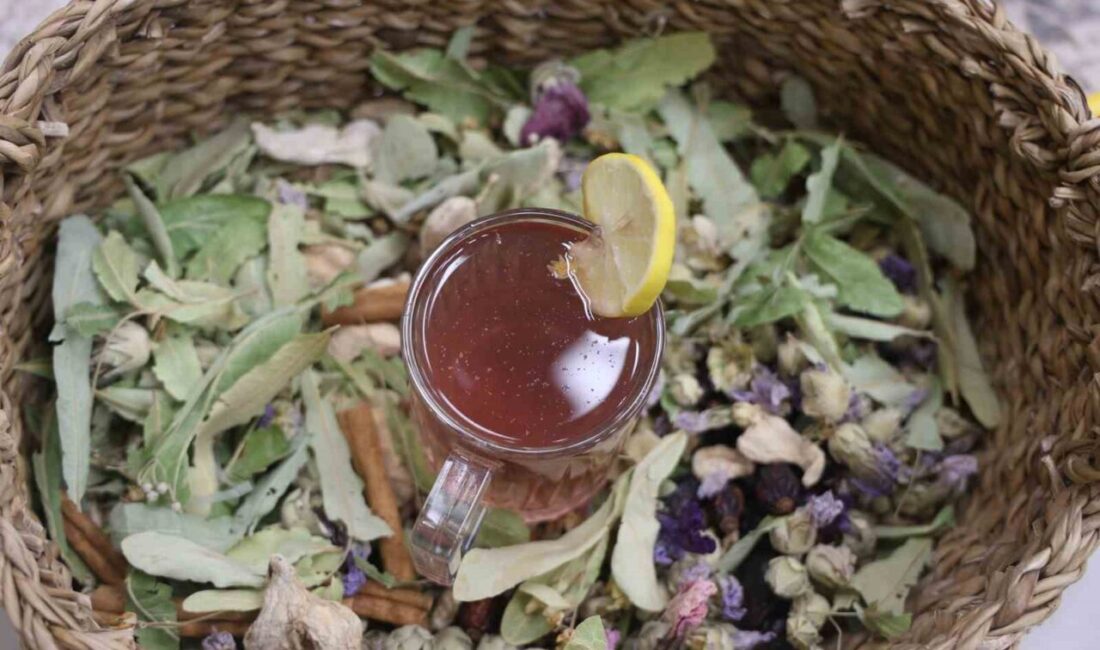 Mevsim geçişlerinde artan soğuk algınlığı vakalarına karşı vücut direncini artırmak