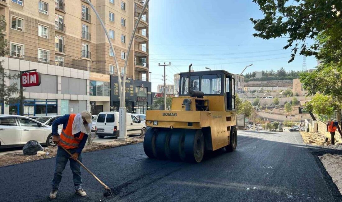 Mardin Büyükşehir Belediyesi Artuklu ilçesinde şehrin alt ve üst yapısı