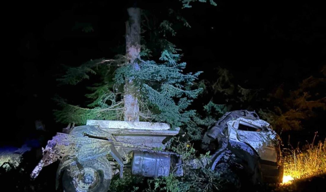 Artvin’in Şavşat ilçesinde meydana gelen trafik kazasında 200 metrelik uçuruma