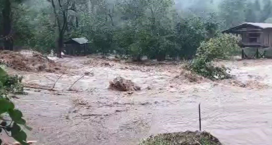 Artvin’in Borçka ilçesinde etkili olan sağanak yağışlar sel ve heyelanlara