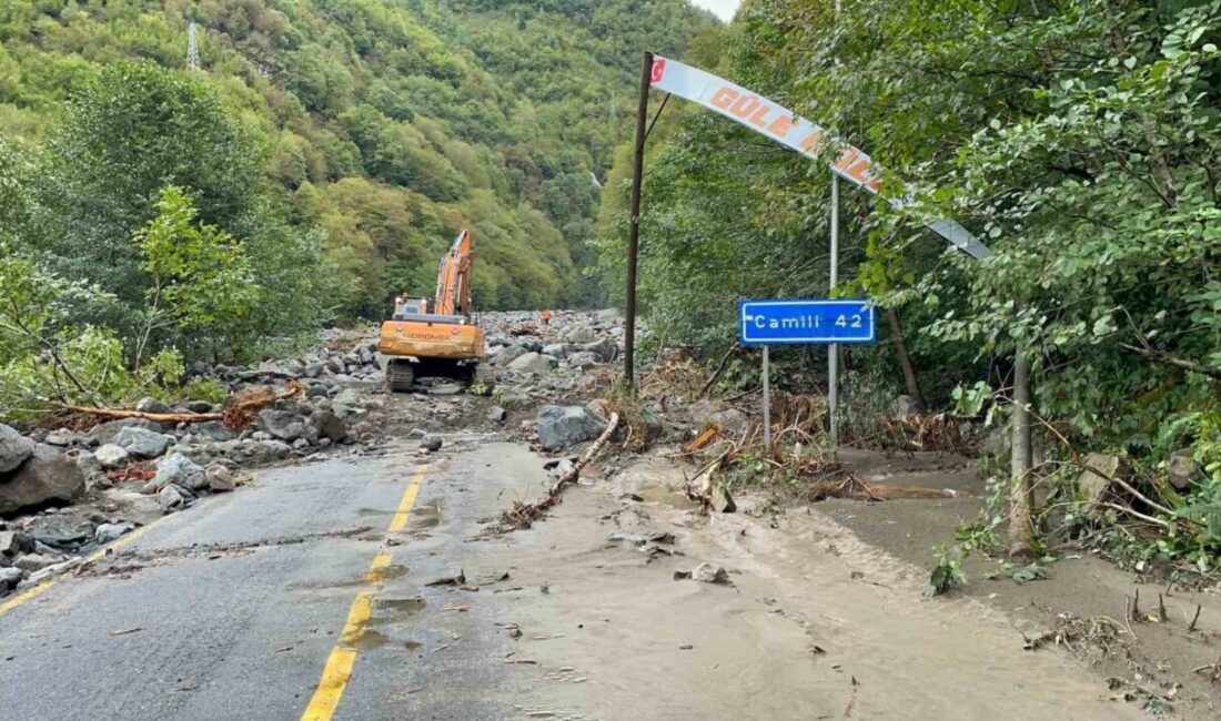 Artvin’in Borçka ilçesinde etkili olan şiddetli sağanak yağışlar sonrası meydana