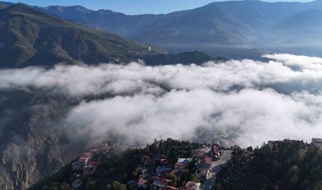 Artvin’de sabah saatlerinde etkili olan yoğun sis, şehir merkezinde kartpostallık