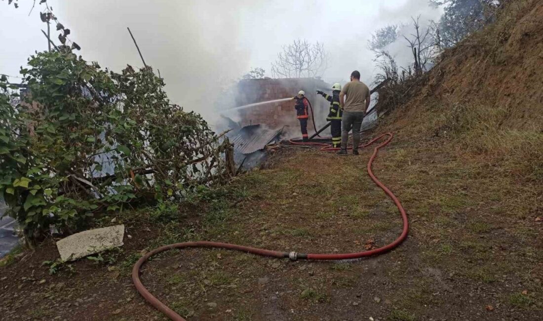 Artvin’in Borçka ilçesinde çıkan yangında 2 katlı 4 ev, tamamen