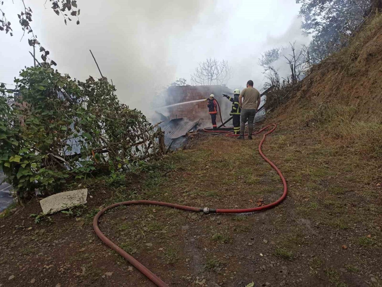 Artvin’in Borçka ilçesinde çıkan yangında 2 katlı 4 ev, tamamen
