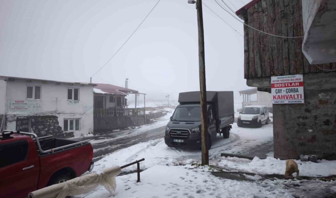 Artvin’de iki gündür etkili olan sağanak yağışlar, il genelinde hayatı