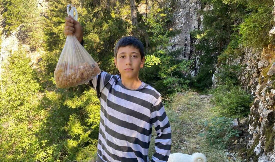 Artvin’in Yusufeli ilçesinde yaşayan 5. sınıf öğrencisi Eymen Bülbül, hafta