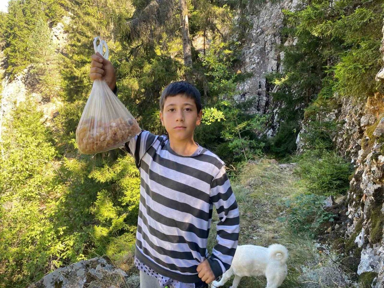 Artvin’in Yusufeli ilçesinde yaşayan 5. sınıf öğrencisi Eymen Bülbül, hafta