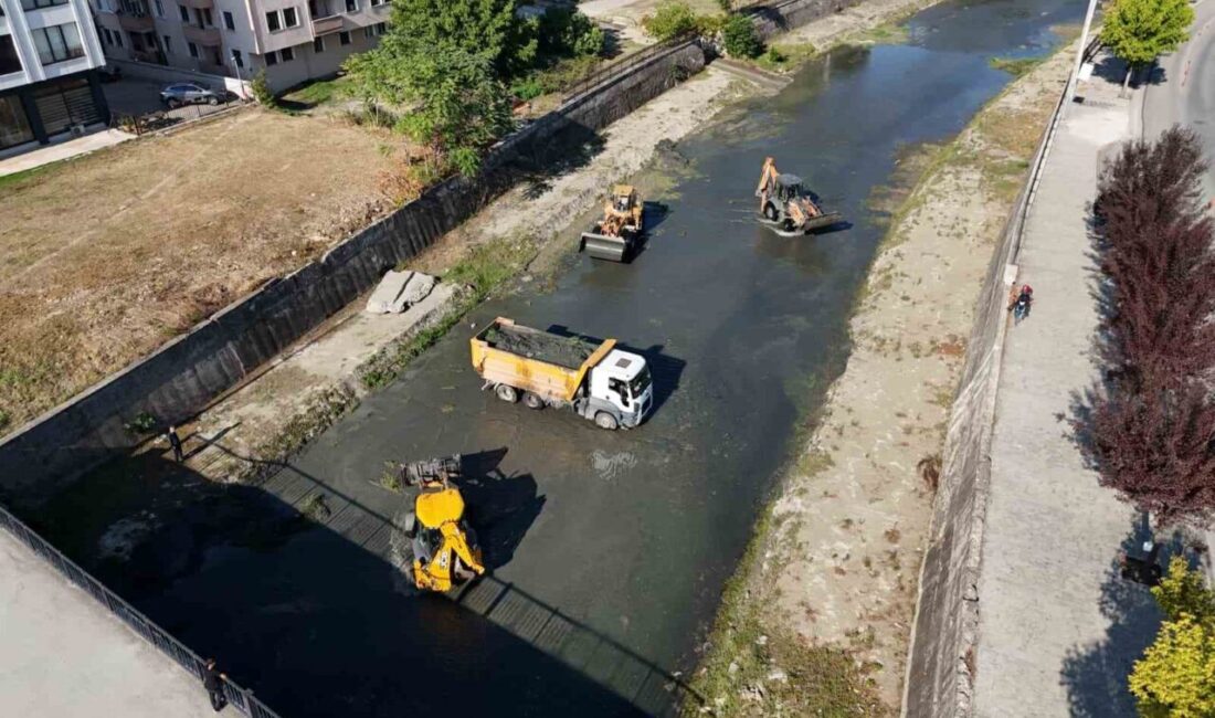 Düzce Belediyesi, Asar Deresi’nin temizliği ve güzel görüntü oluşturması için