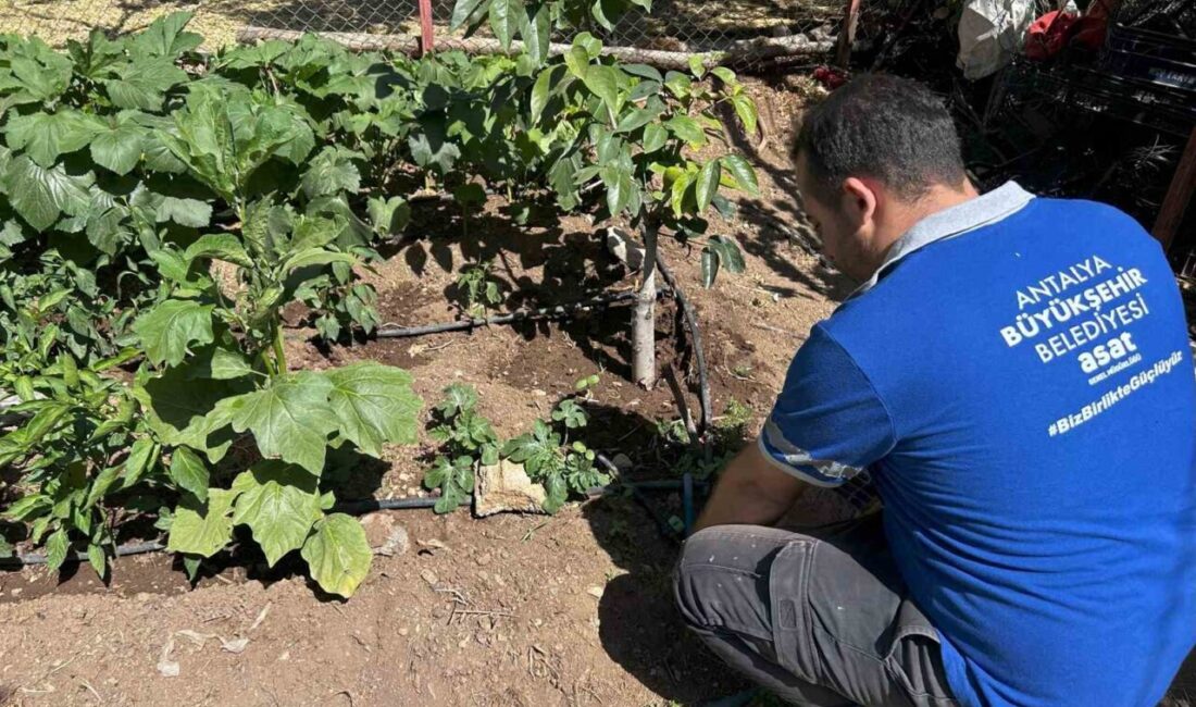 Antalya Büyükşehir Belediyesi ASAT Genel Müdürlüğü, son yıllarda ülke genelinde