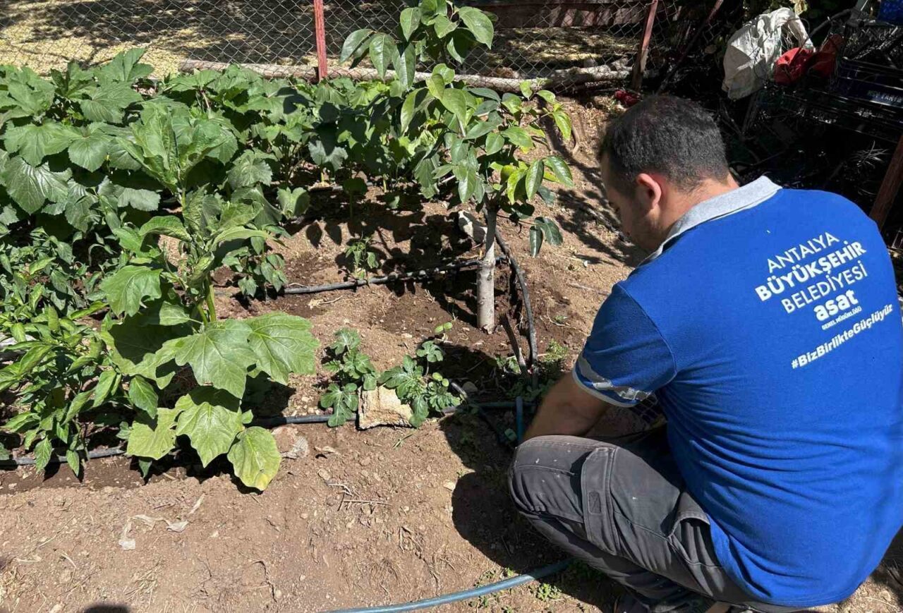 Antalya Büyükşehir Belediyesi ASAT Genel Müdürlüğü, son yıllarda ülke genelinde