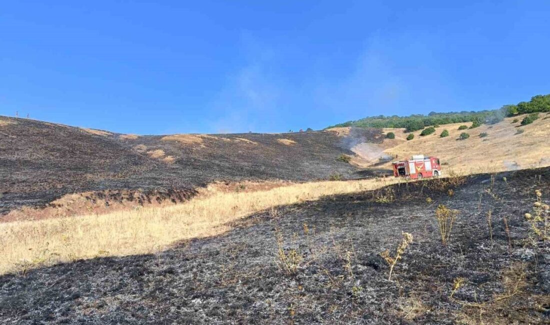 Aşkale’nin Güneyçam Köyü’nde çıkan anız yangınında 100 dönüm alan kül