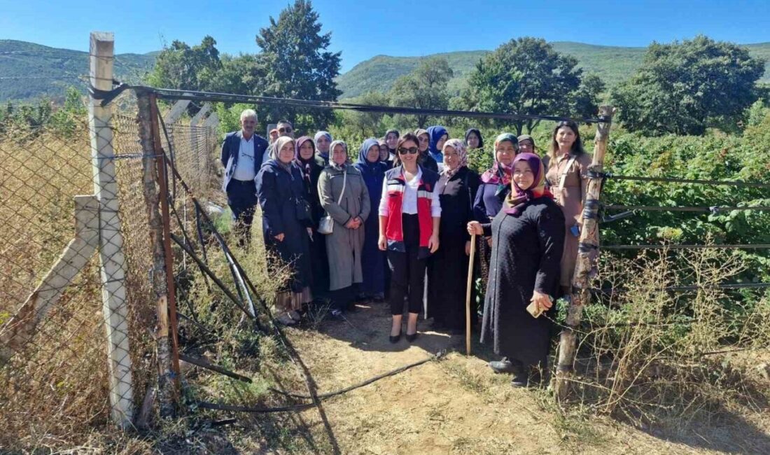 Aslanapa ilçesinde kadın çiftçiler için, Sekiören köyü ve Domaniç ilçesinde