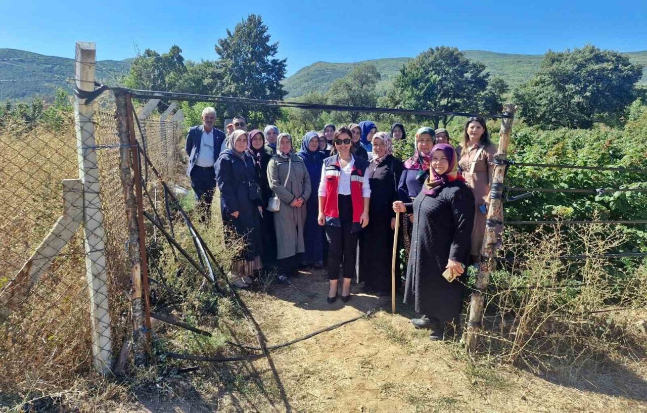 Aslanapa ilçesinde kadın çiftçiler için, Sekiören köyü ve Domaniç ilçesinde
