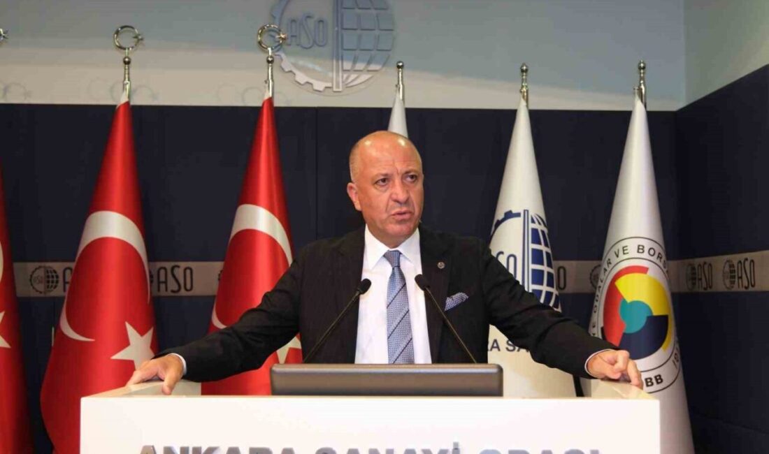 Ankara Sanayi Odası (ASO) Başkanı Seyit Ardıç, “Kamu ihaleleri, sadece