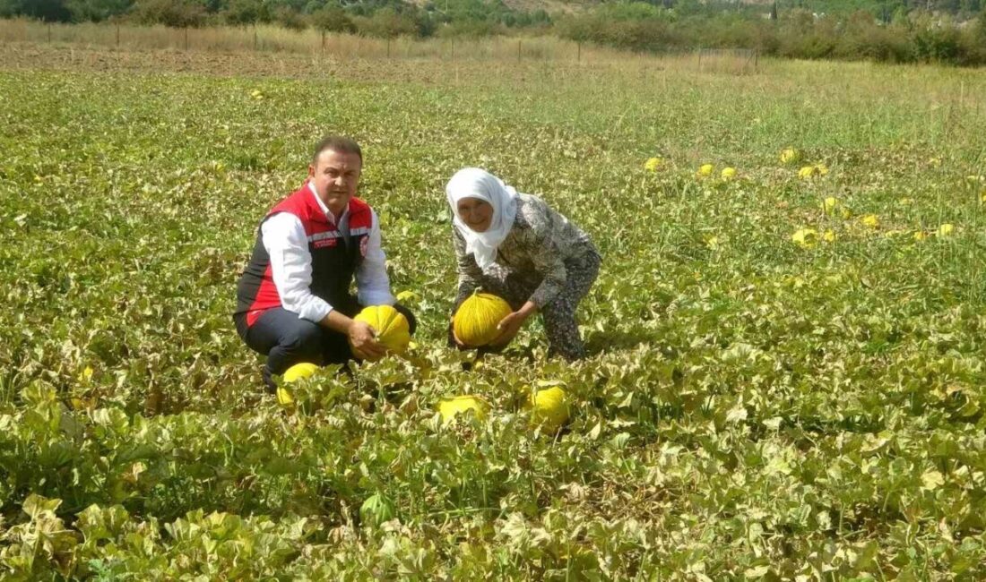 Dünyanının çıkılan değil, inilen tek yaylası Muğla’nın Menteşe ilçesindeki Karabağlar