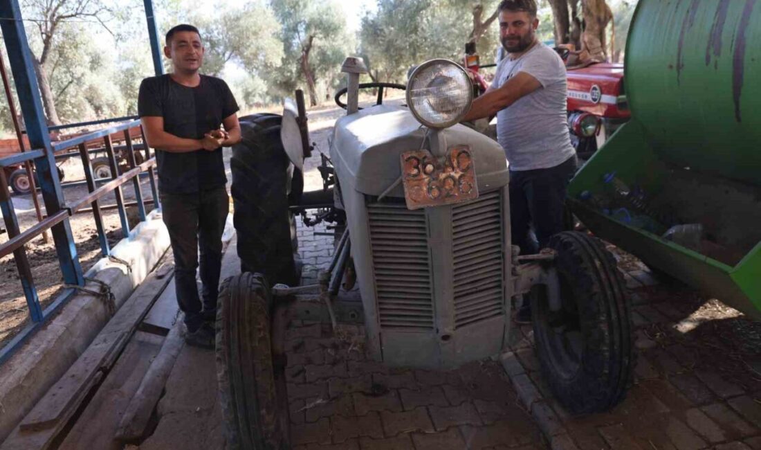 Aydın’ın Efeler ilçesine bağlı Kuyucular Mahallesi’nde bir çiftlikte bulunan 77