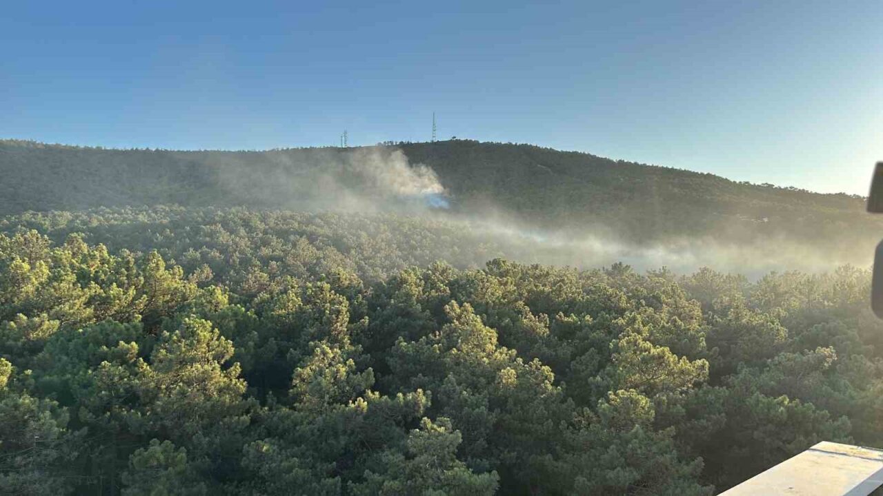 Ataşehir Kayışdağı ormanında yangın çıktı. Olay yerine çok sayıda itfaiye