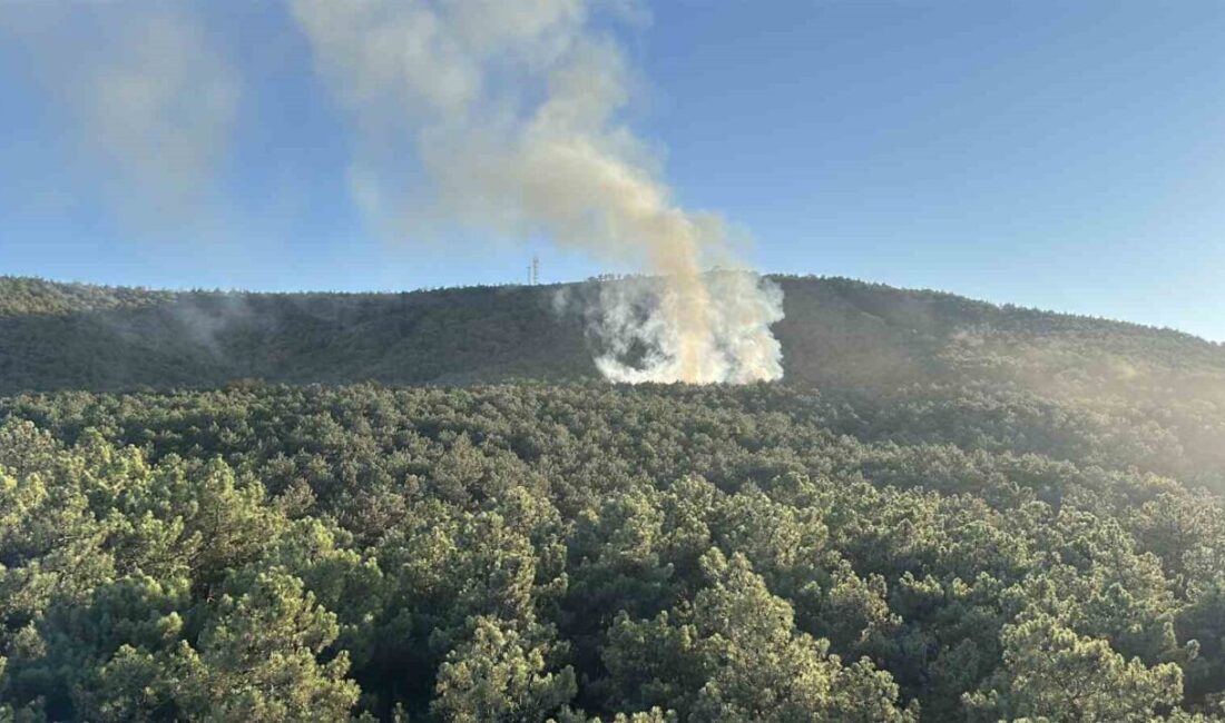 Ataşehir Kayışdağı’nda çıkan orman yangını ekiplerin hızlı müdahalesiyle söndürüldü. Olay,