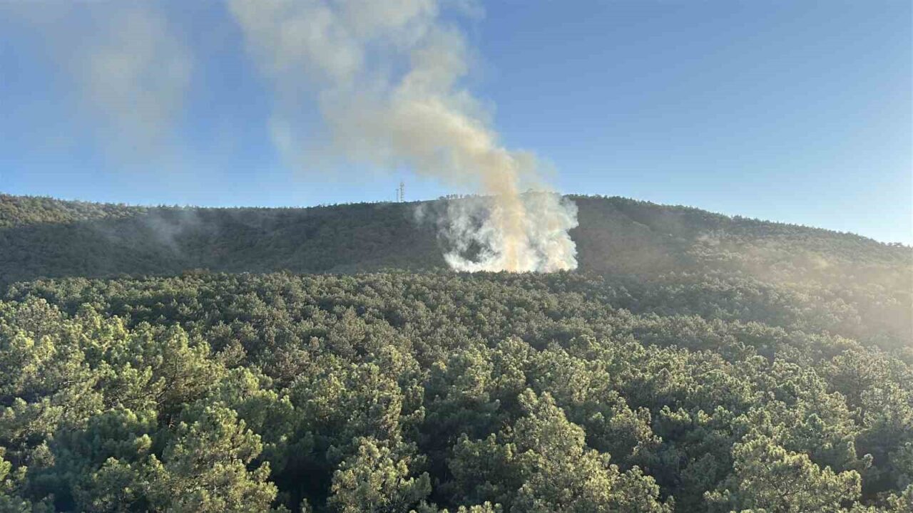 Ataşehir Kayışdağı’nda çıkan orman yangını ekiplerin hızlı müdahalesiyle söndürüldü. Olay,