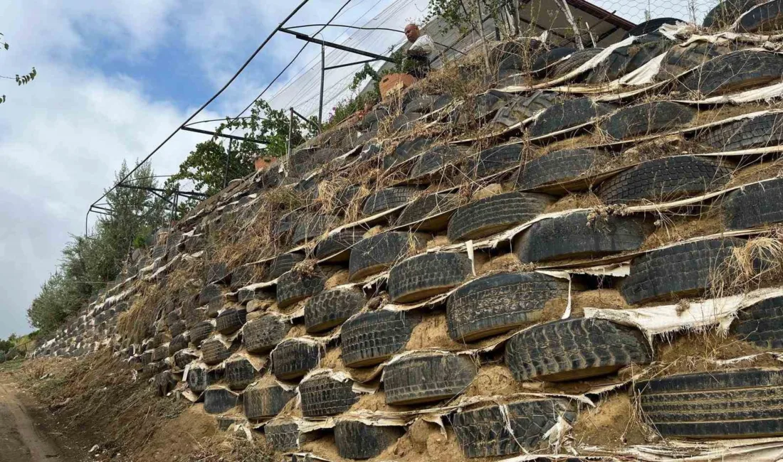 Manisa’nın Sarıgöl ilçesinde bir çiftçi, artık ömrünü tamamlamış olan yüzlerce