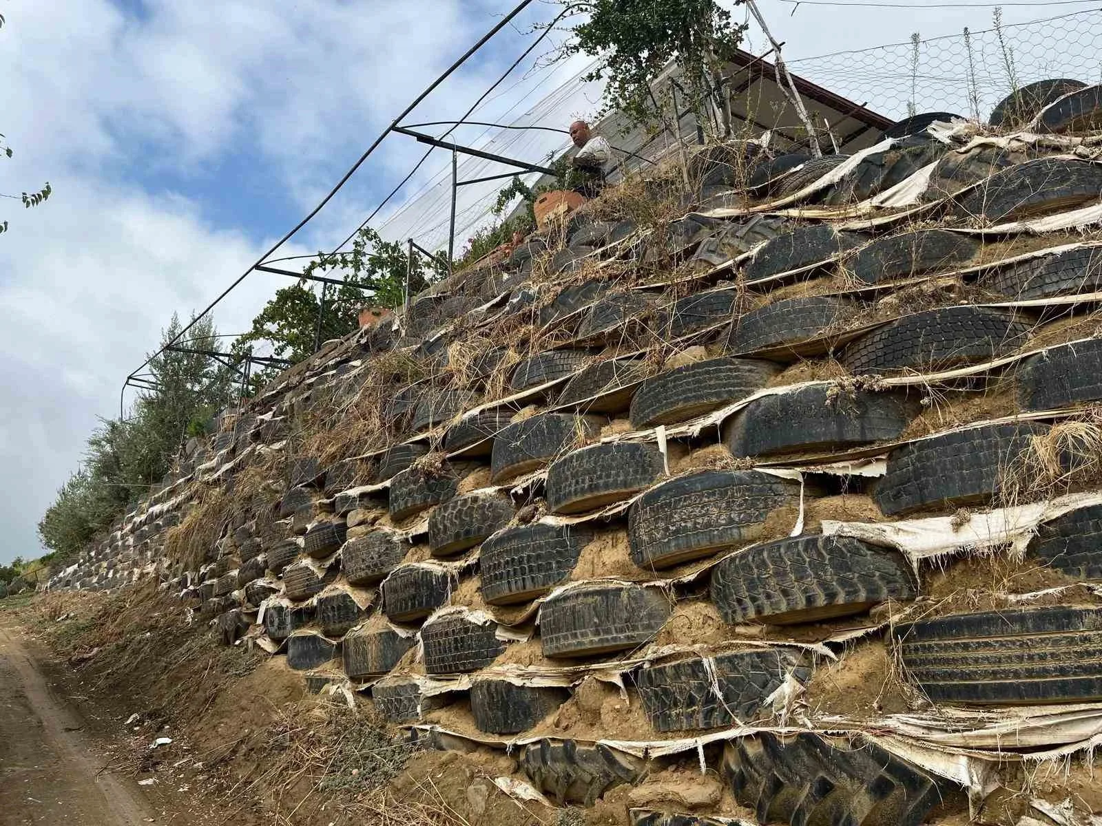 Manisa’nın Sarıgöl ilçesinde bir çiftçi, artık ömrünü tamamlamış olan yüzlerce