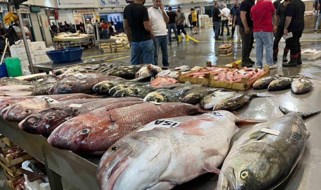 Av sezonunun açılmasıyla birlikte balıkçılar gece saatlerinde “Vira bismillah” diyerek