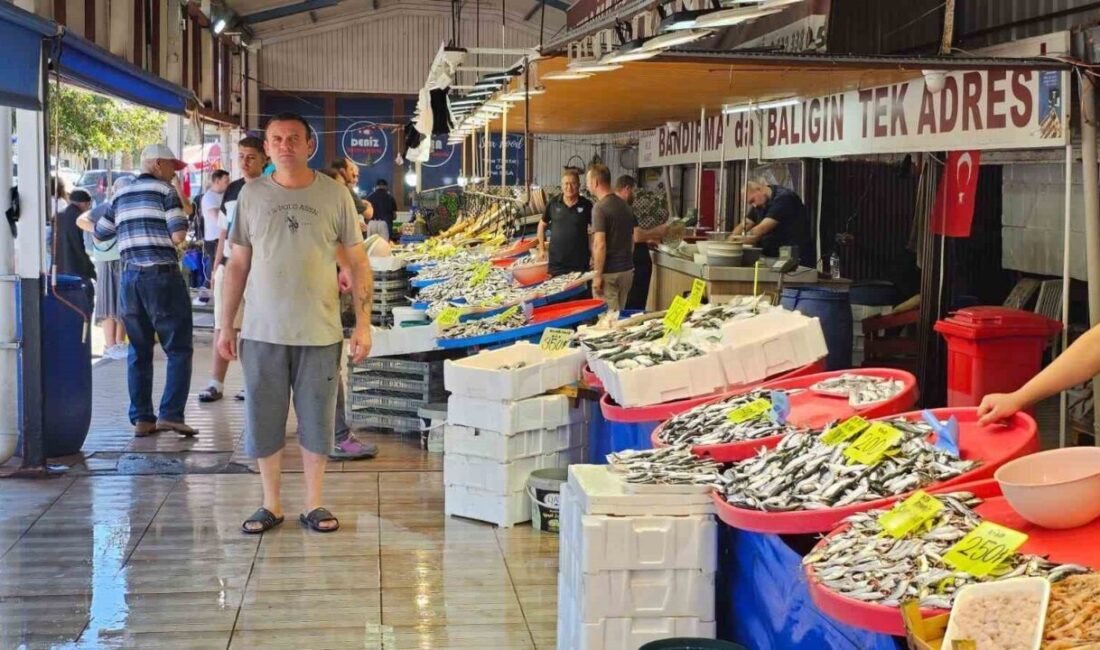 Ege ve Marmara denizlerinin buluşma noktası Balıkesir’de, 2025-2026 balık sezonunun
