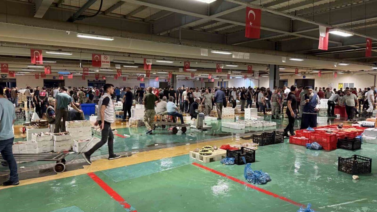 Av yasağının sona ermesiyle balıkçılar aylar sonra yeniden ’Vira Bismillah’