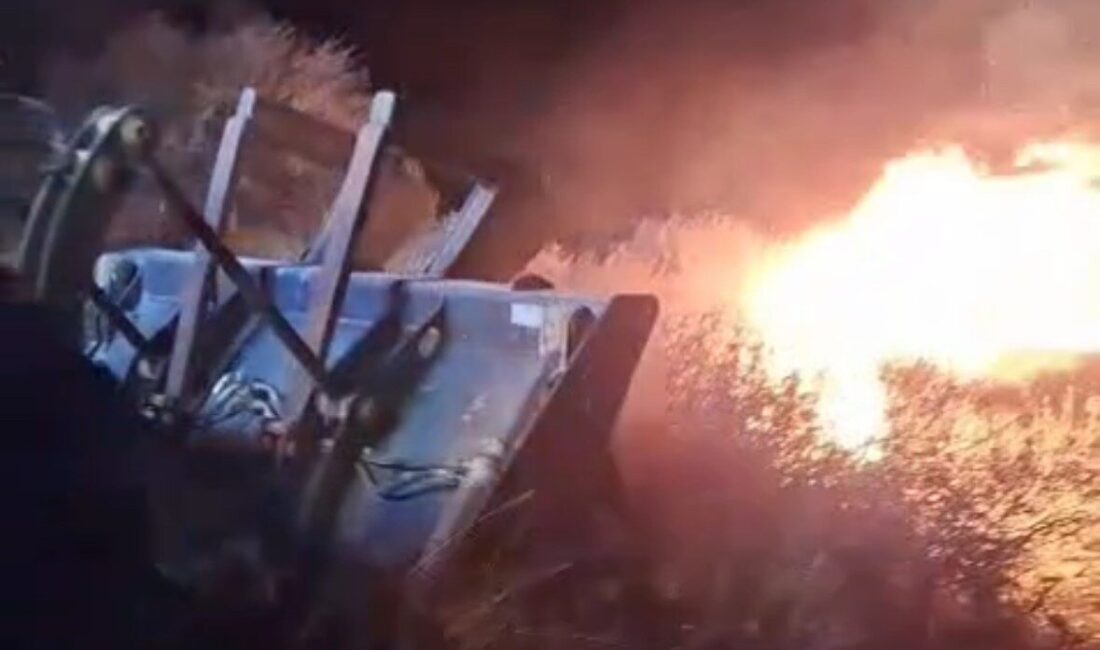 Balıkesir’in Marmara ilçesine bağlı Avşa Adası Karadut Plajı’nda gece saatlerinde