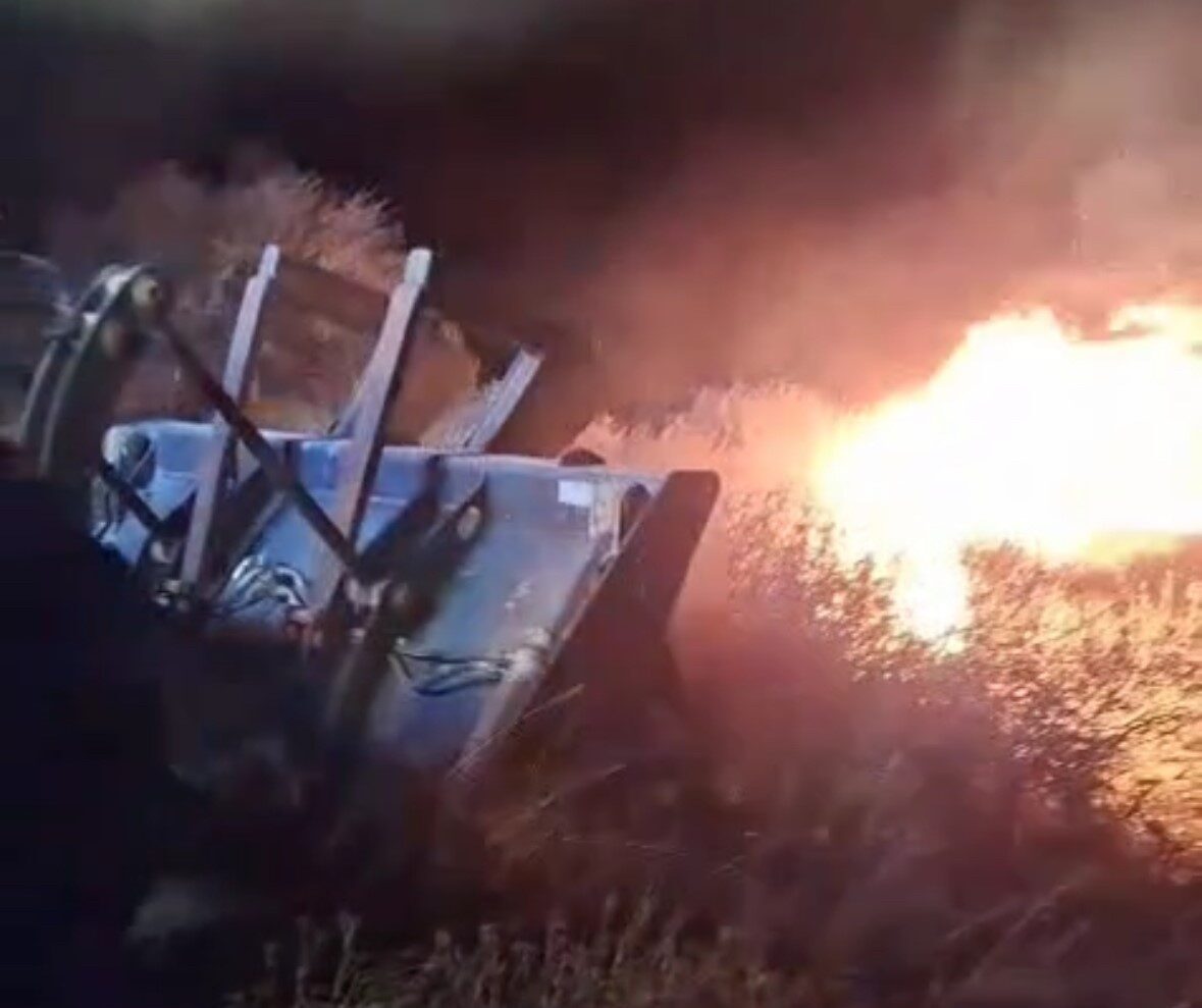 Balıkesir’in Marmara ilçesine bağlı Avşa Adası Karadut Plajı’nda gece saatlerinde