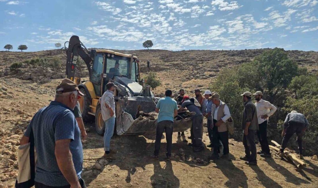 Mardin’in Nusaybin ilçesinde dağlık alanda ayağı kırılan inek, köylüler tarafından
