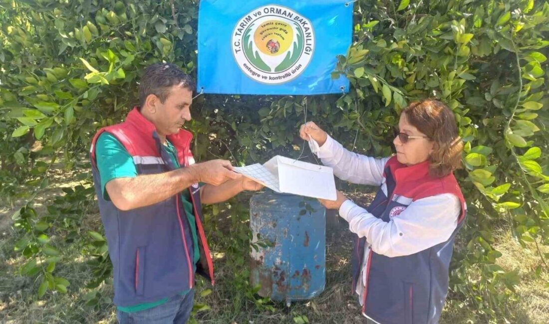 Aydın İl Tarım ve Orman Müdürlüğü, turunçgil üreticilerini Akdeniz meyve