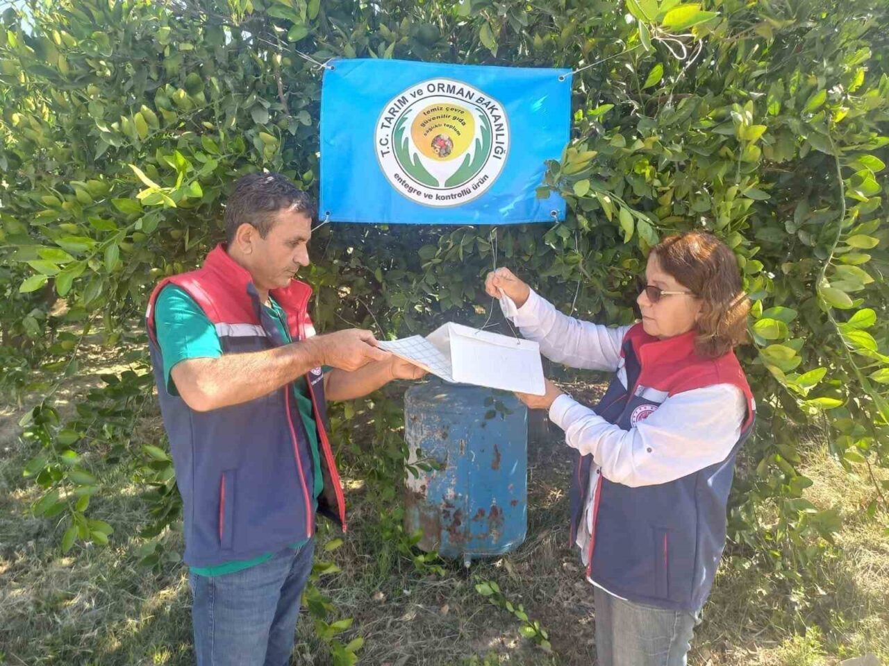 Aydın İl Tarım ve Orman Müdürlüğü, turunçgil üreticilerini Akdeniz meyve