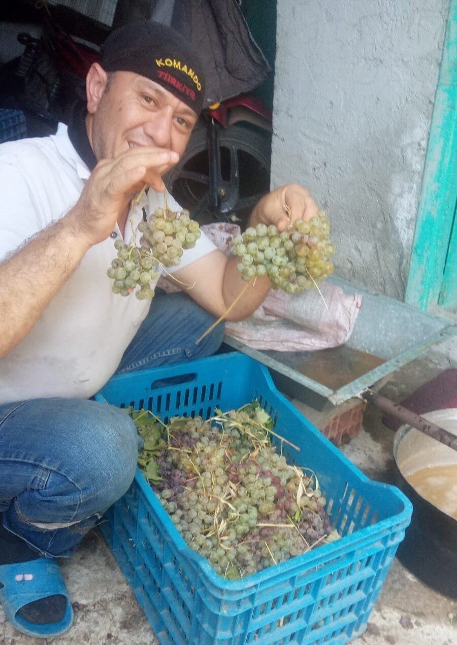 Aydın’da incir hasat sezonunu tamamlayan çiftçiler bağ bozumuna başladı. Tamamen
