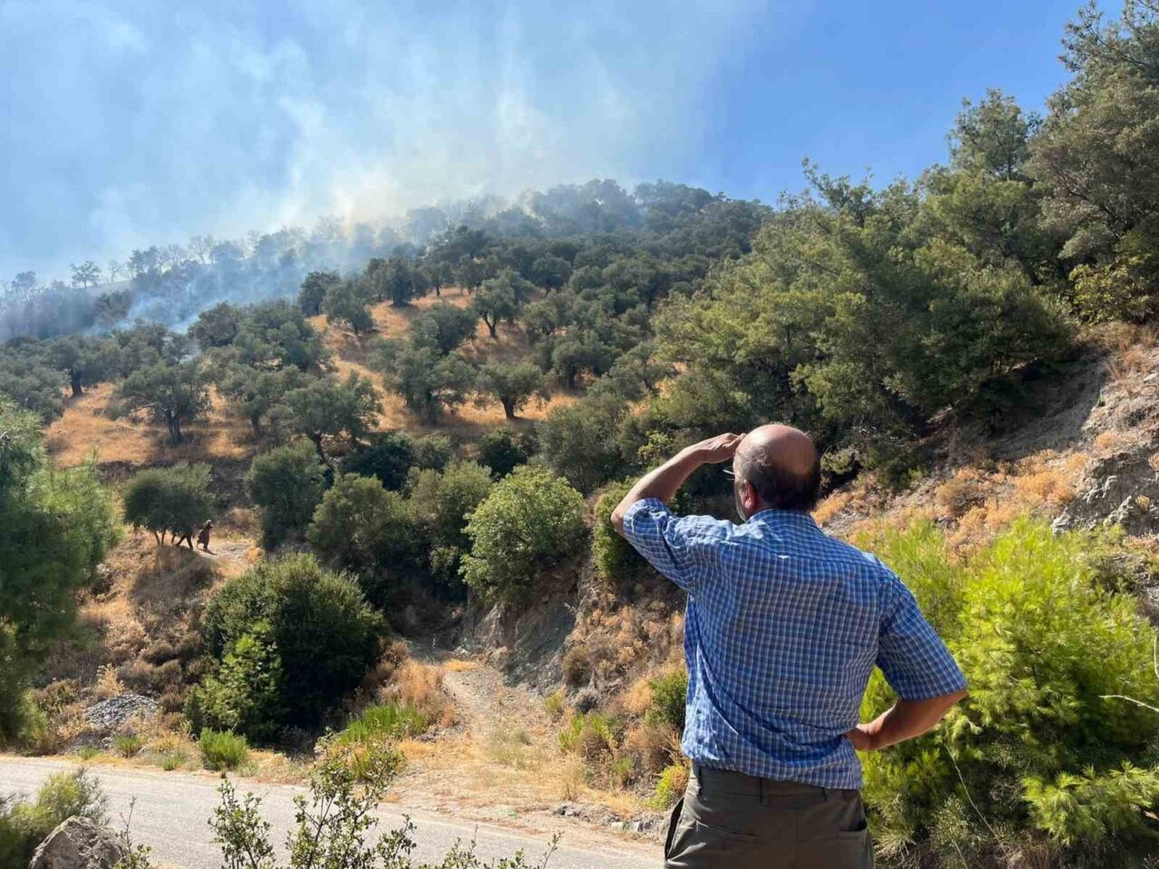 Aydın’ın Efeler ilçesinde zeytinlik alanda çıkan yangın kontrol altına alınırken,