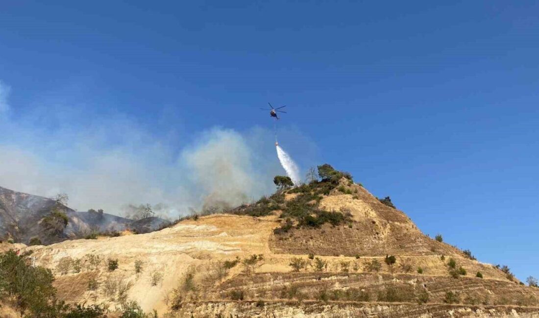 Aydın’ın Efeler ilçesinde dağlık alanda çıkan yangını söndürme çalışmaları havadan