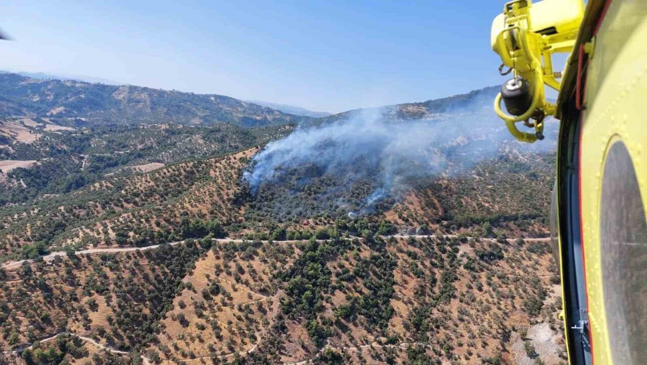 Aydın’ın Efeler ilçesindeki zirai alanda çıkan yangına havadan ve karadan