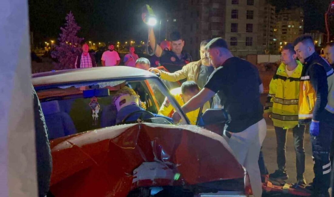 Kayseri’nin Melikgazi ilçesinde direksiyon hakimiyetini kaybederek, aydınlatma direğine çarpan sürücü