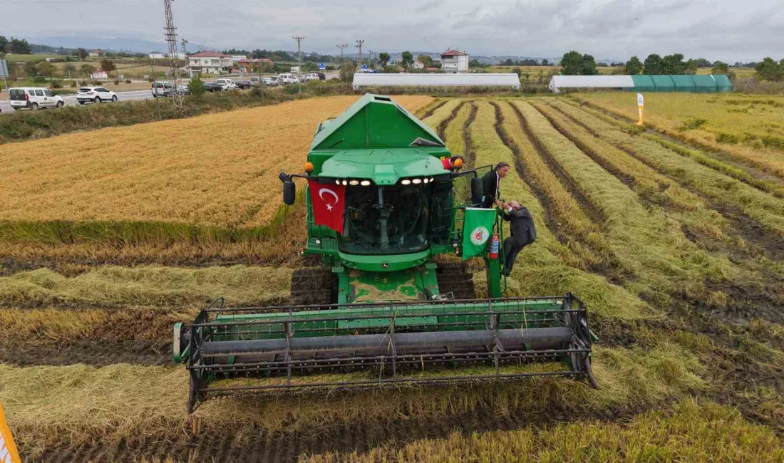 Türkiye’nin en verimli tarım ovalarından biri olan Samsun Bafra Ovası’nda