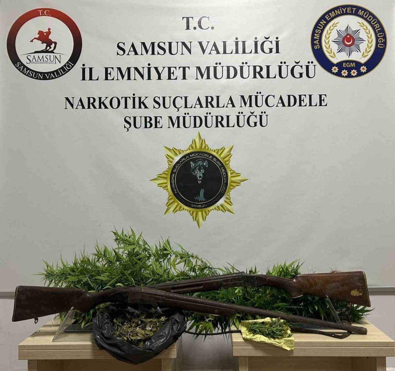 Samsun’un Bafra ilçesinde 33 kök Hint keneviri ele geçirildi. Samsun