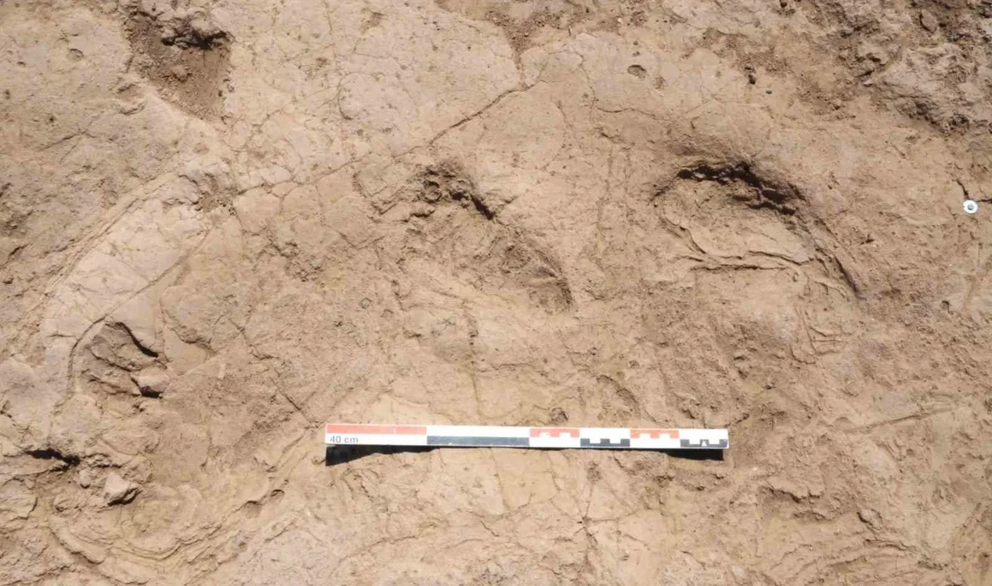 Kültür ve Turizm Bakanı Mehmet Nuri Ersoy, Hatay’ın Reyhanlı ilçesi