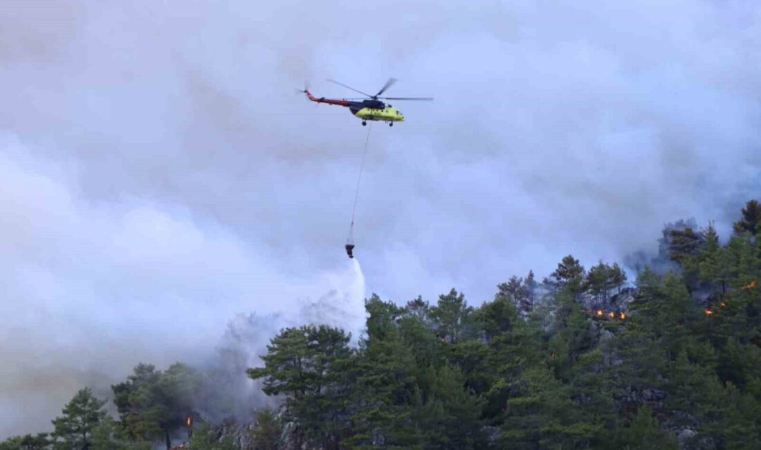 Muğla’nın Köyceğiz ilçesinde yaşanan orman yangını ile ilgili açıklama yapan