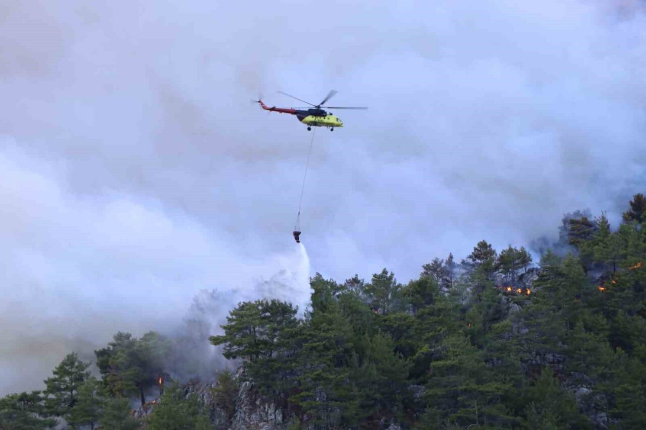 Muğla’nın Köyceğiz ilçesinde yaşanan orman yangını ile ilgili açıklama yapan