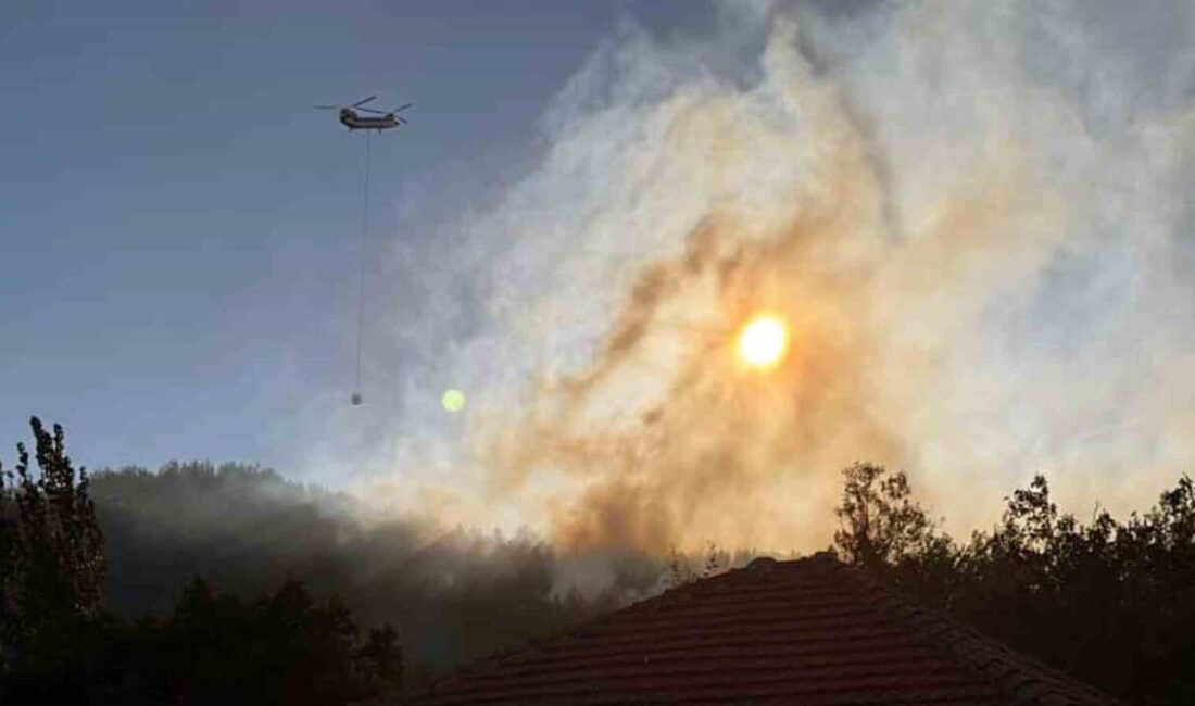 Tarım ve Orman Bakanı İbrahim Yumaklı, Muğla’nın Köyceğiz ilçesinde çıkan