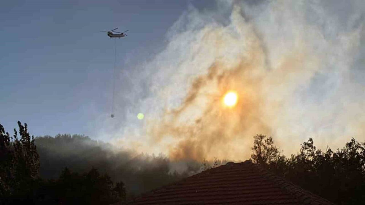 Tarım ve Orman Bakanı İbrahim Yumaklı, Muğla’nın Köyceğiz ilçesinde çıkan